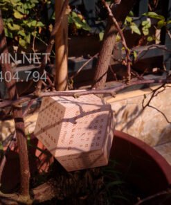 Lịch 2019 nguyên khối 12 mặt, 12 tháng